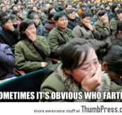Sometimes it’s obvious who farted