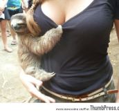 I want to be that sloth!