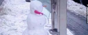 Hello? Yes, this is Snowman!