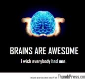 BRAINS ARE AWESOME.