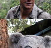 Bear Grylls In Australia