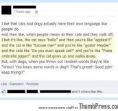 DO YOU EVEN SPEAK CAT?