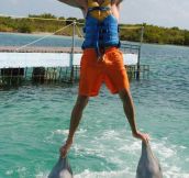 Standing on dolphins’ mouths and doing the Usain Bolt sign.