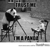 TRUST ME, I’M A PANDA.