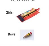 The difference between boys and girls