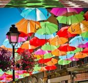 Umbrella street in Portugal