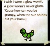 The life of a glow worm…