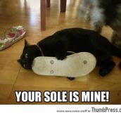 Your Sole is mine