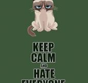 Keep calm and be Grumpy cat