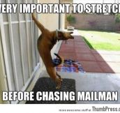 Before chasing mailman