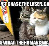 Don’t chase that laser