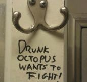 Drunk octopus