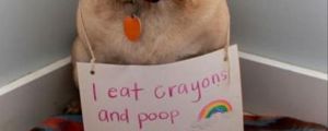 I eat Crayons