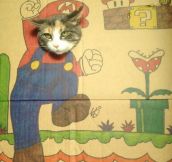 Silly Cardboard Cat Art (8 Pics)