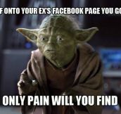 Relationship advice by Yoda