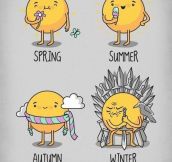 The Seasons…