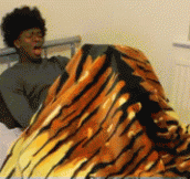 23 Hilarious GIFs That Will Take You By Surprise