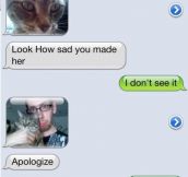 Say sorry to kitty…
