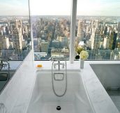 A bath with a view…