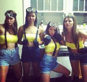 Despicable Me Halloween costume…