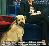 Ryan Gosling on his dog’s unique hairstyle…