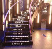 Best stairs for a gym…