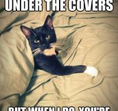 Under the covers…