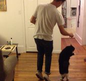 Dancing with the cat…