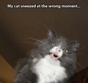 Sneezing face…