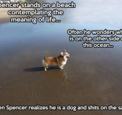 Spencer the philosopher…
