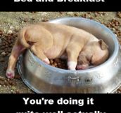 Bed and Breakfast’s accurate description…