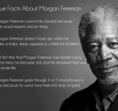 True facts about Morgan Freeman…