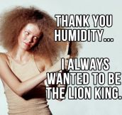 Thank you humidity…