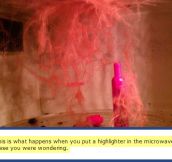 What happens when you put a highlighter in the microwave…