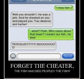 Forget the cheater…