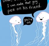 How jellyfish pass the time…