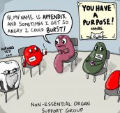 Organ support group…