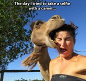 When selfies don’t go as expected…