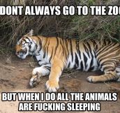 Every time I go to the zoo…