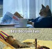 Sophisticated cat finds some time for himself…
