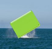 And here we see a whale in its natural habitat…