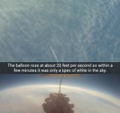 I sent grapes into space…
