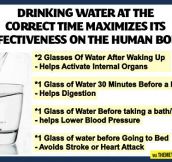 Drinking water is important…