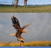 Incredible Junk Wood Sculptures…
