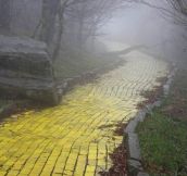 Creepy yellow brick road…