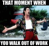 Walking out of work…