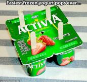Frozen yogurt pops…