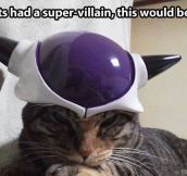 If cats had a super villain…