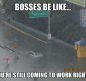 Bosses be like…