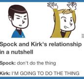 Spock and Kirk in a nutshell…